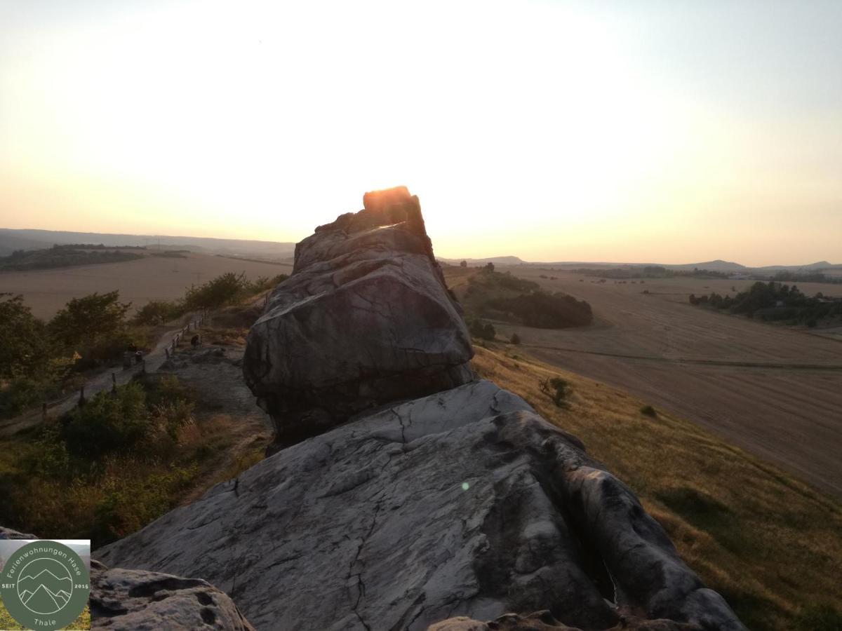 Ferienwohnung Kahlenberg Thale Luaran gambar